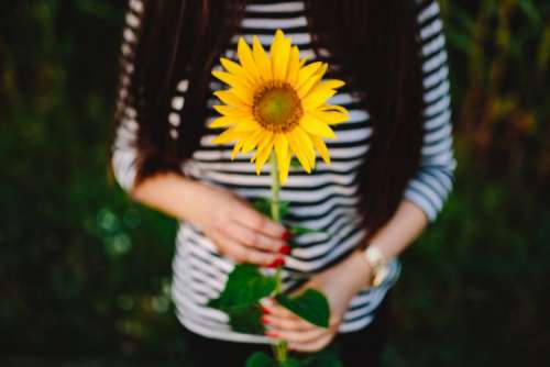 Young couple with sunflower