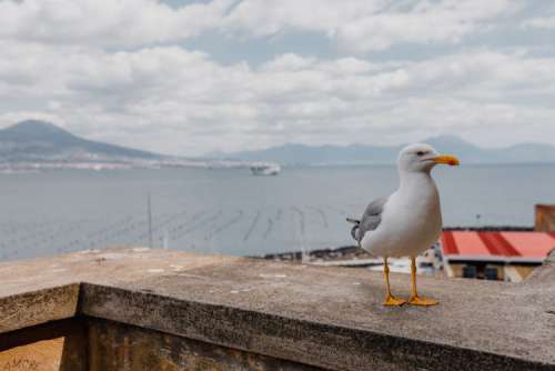 Naples, Italy