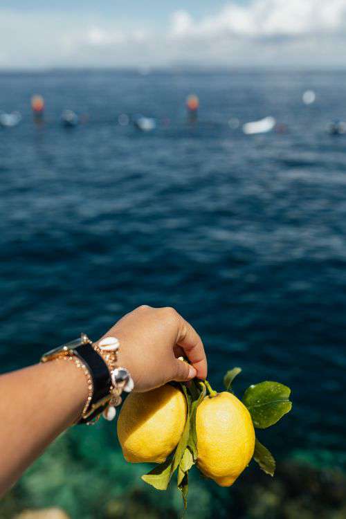 Lemons from Sorrento, Italy