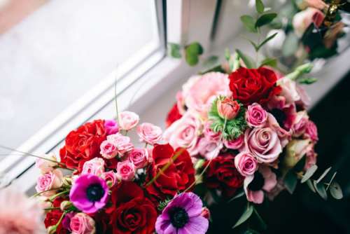 Multi-colored flowers in vases