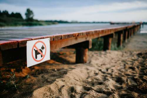 Wooden pier by the lake