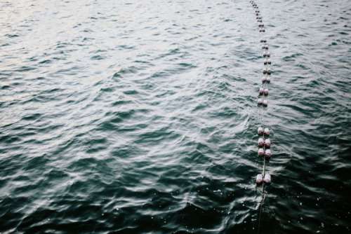 Wooden pier by the lake