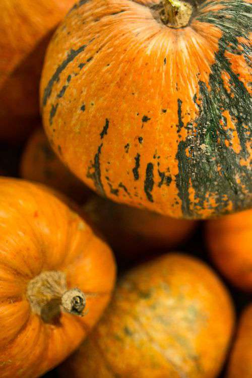 Close-ups of pumpkins in a wooden box