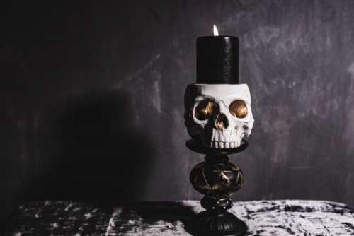 Halloween Skulls Decorations