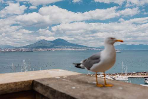 Naples, Italy