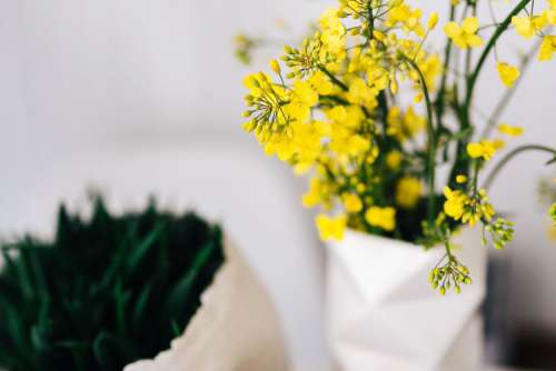 Workspace with yellow flowers