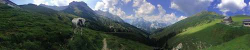 Austria Alp Alps Cow Mountain Lodge