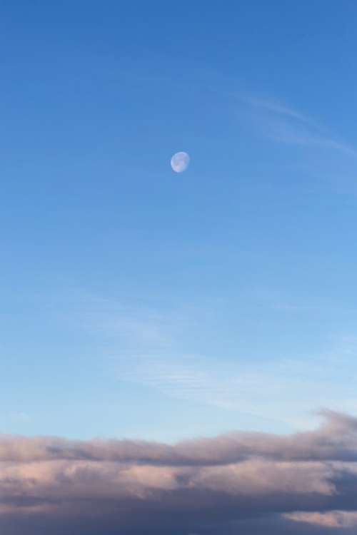 Daytime Moon in Sky Free Photo