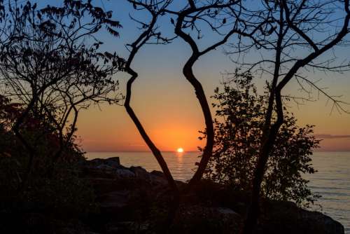 Water Sunset Through Trees Free Photo