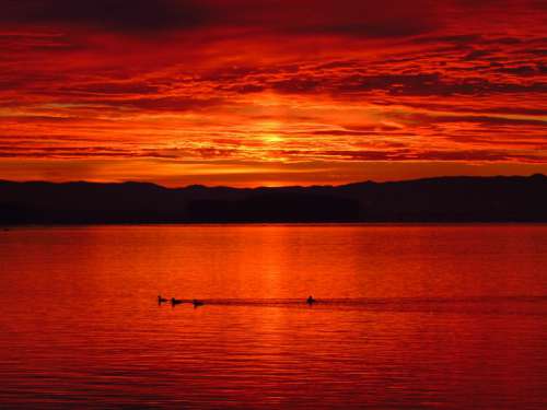 Hot Lake Sunset Free Photo