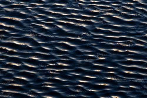 Lake Water Waves Free Photo