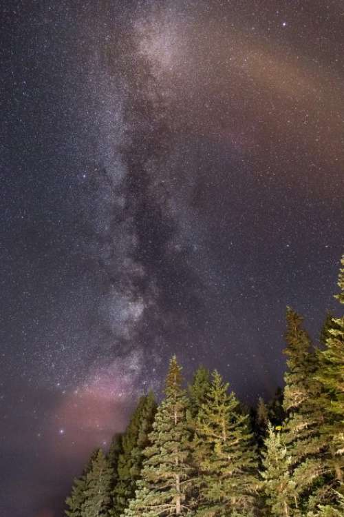 Milky Way Forest Free Photo