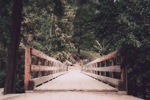 Rustic Wooden Bridge Free Photo