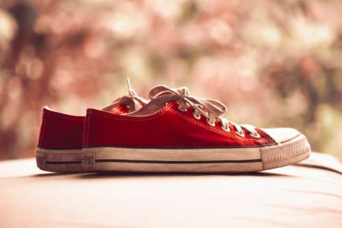 Red Sneakers Canvas Shoes Free Photo
