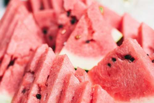 Sliced Melon Fruit Free Photo