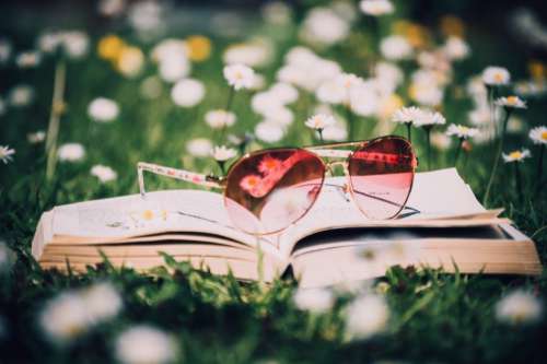 Open Book Sunglasses Free Photo