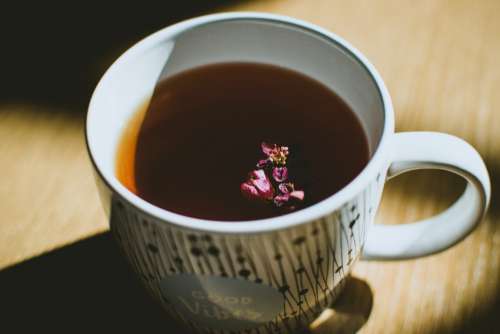 Cup Herbal Tea Drink Free Photo