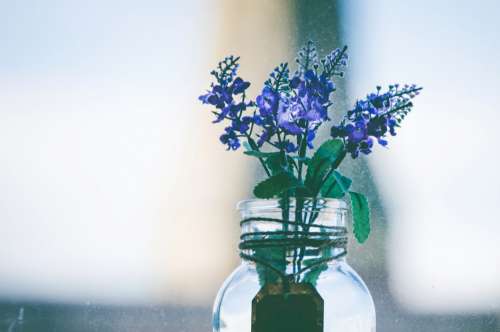 Aromatherapy Flower Jar Free Photo