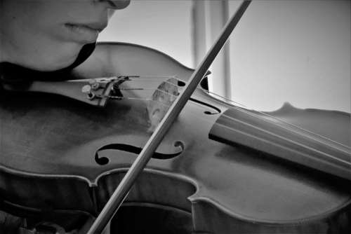 Violin Playing Musician Free Photo