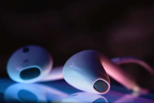 Apple Earpods Headphones Free Photo