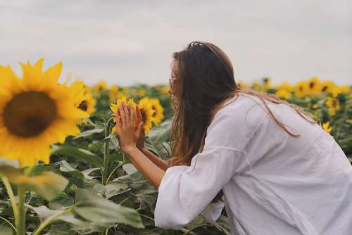 Woman Smelling Sunflowers Free Photo