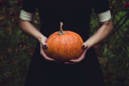 Woman Black Dress Halloween Pumpkin Squash Free Photo