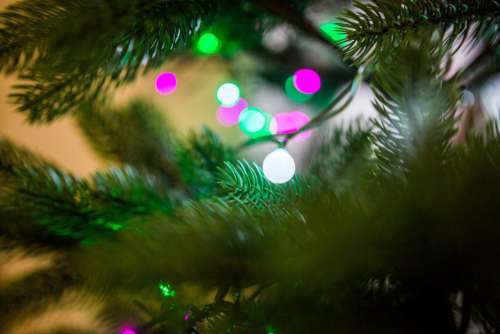 Christmas Tree Lights Bokeh Free Photo