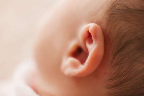Newborn Baby Ear Free Photo