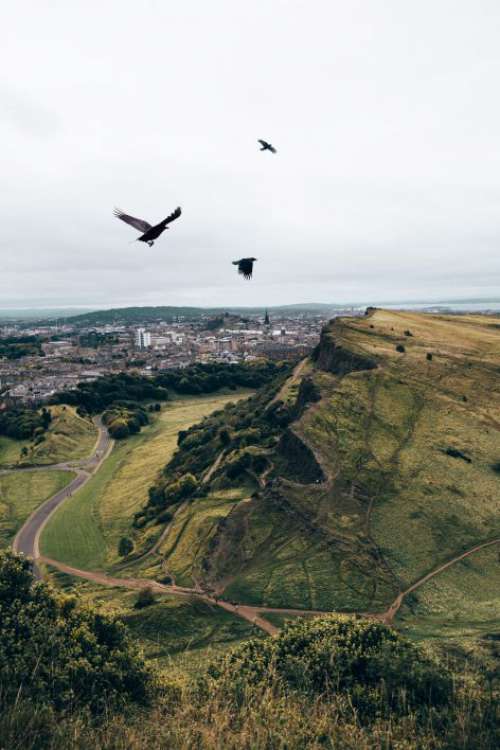 Crows Flying Over Mountains Free Photo