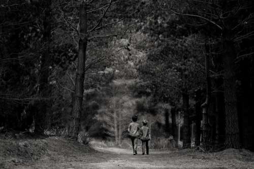Boys Walking Forest Black White Free Photo