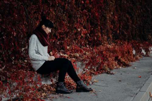 Woman Sitting Red Leaves Free Photo