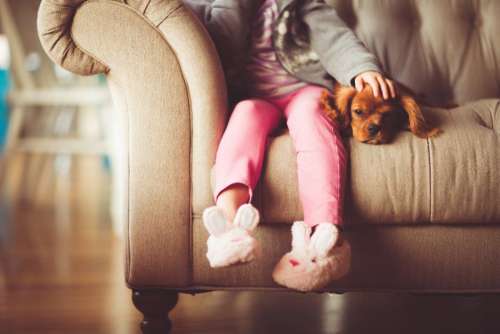 Girl Puppy Sofa Free Photo