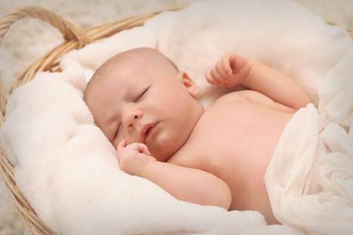 Newborn Baby Sleep Basket Free Photo