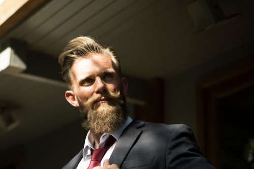 Man Suit Beard Tie Free Photo