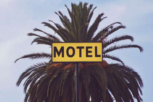Motel Sign Palm Trees Free Photo