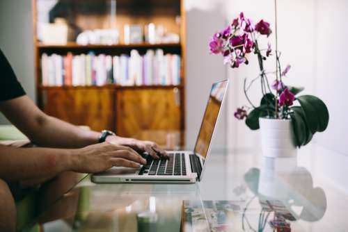 Man Glass Desk Laptop Free Photo