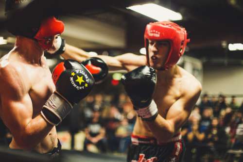 Amateur Boxers Boxing Match Gloves Free Photo