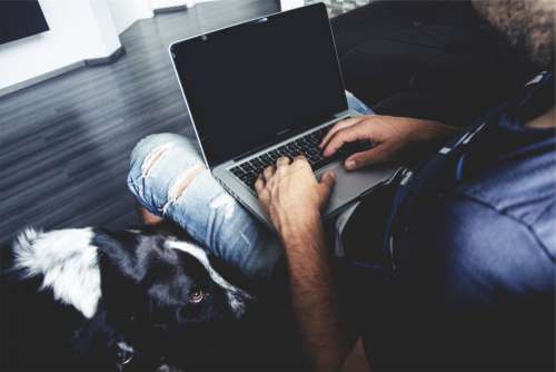 Man Laptop Sitting Jeans Ripped Free Photo