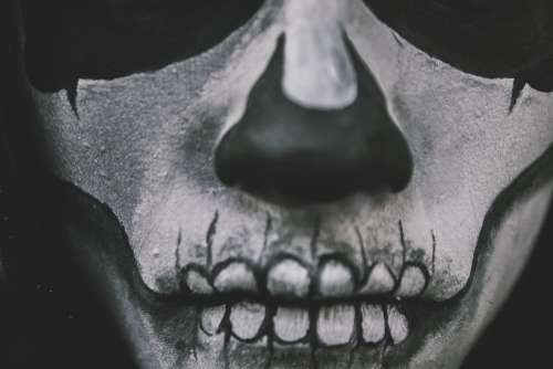 Man Scary Costume Skull Makeup Free Photo