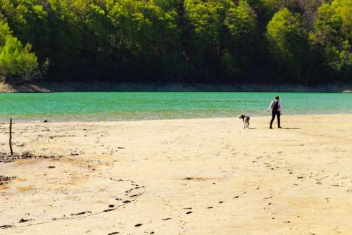 Man Walking Dog Beach Lake Water Free Photo