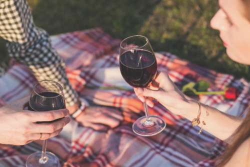 Picnic Blanket Man Woman Wine Free Photo