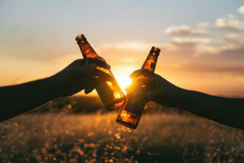 Beer Sunset Field Free Photo