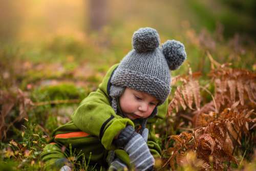 Child Boy Playing Forest Free Photo
