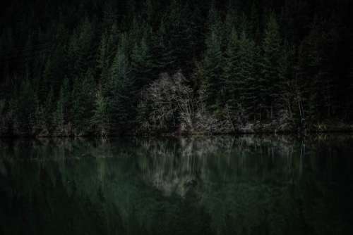 Dark Dawn Lake Forest Free Photo
