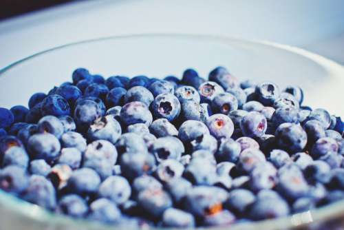 Blueberries Bowl Free Photo