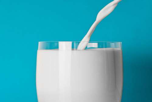 Glass Milk Drink Minimal Free Photo
