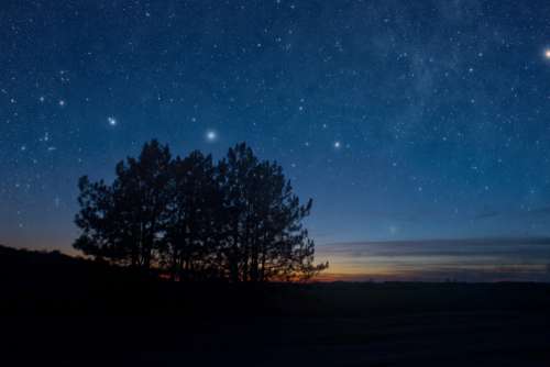 Night Tree Silhouette Stars Free Photo
