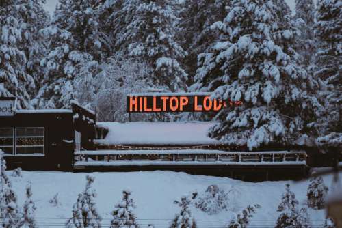 Neon Sign Snow Cabin Free Photo