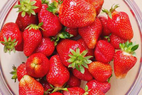 Fresh Strawberries Bowl Free Photo