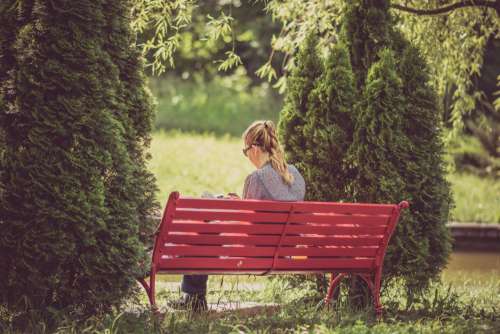 Woman Reading Red Park Bench Free Photo